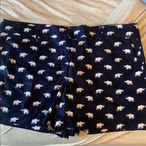 Anne Taylor shorts
